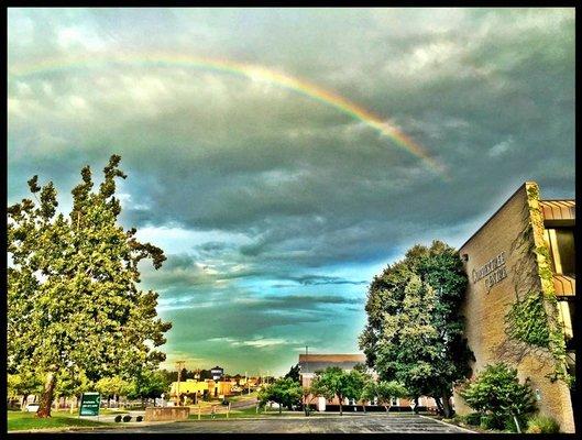 Cohlmia Matthew E DDS INC PC