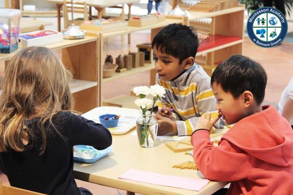 Montessori Academy At Belmont Greene