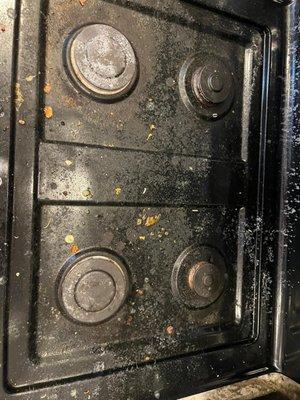 The stovetop had a heavy buildup of grease, food splatters, and burnt-on residue across all burners. The surface looked dull and layered
