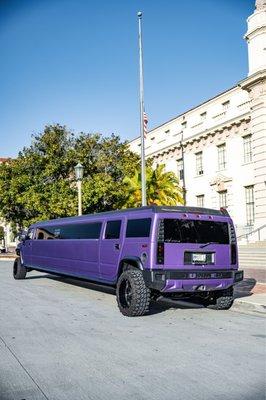 Luxury Limousine Hollywood PlayNight