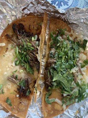 Cilantro and barely there beef birria