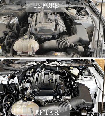 SpotLess Wash & Detail