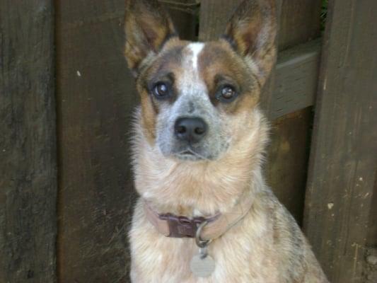 Sterling Smith Hardwoods