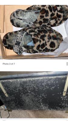 Icon Avondale Apartments