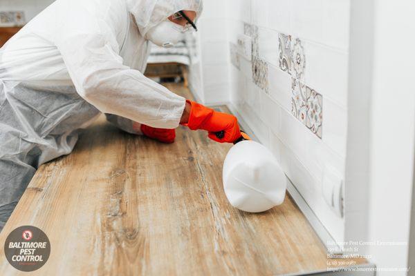 Baltimore Pest Control Exterminators
