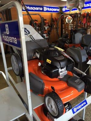 Beach Lawn and Garden