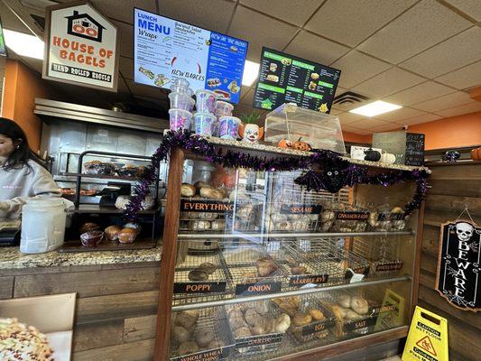 Selection (10:30am Sunday)