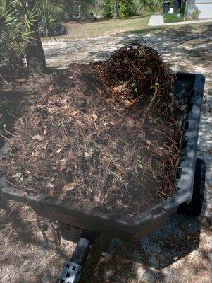 James from Woodchuck Service