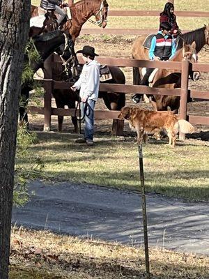 Pioneer Cabins & Guest Farms