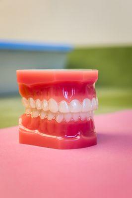 Kenneth S Hauser, DDS, MA - Edgebrook Orthodontics