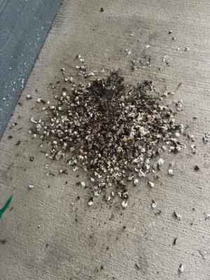 Northbrooke Apartments