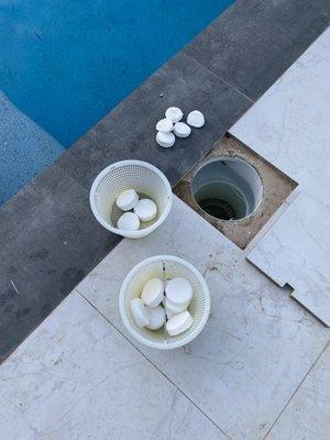 Blue Royalty Pool Service