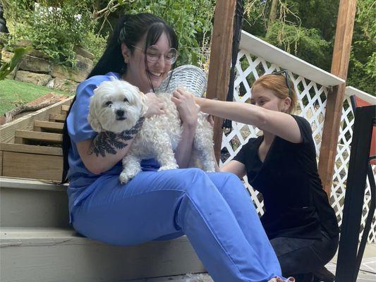 Low Stress Mobile Pet Services