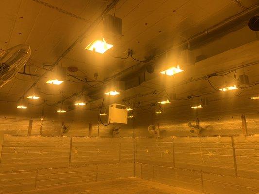 Smart Electrical Services