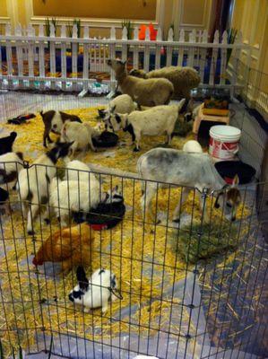 Karen's Critters