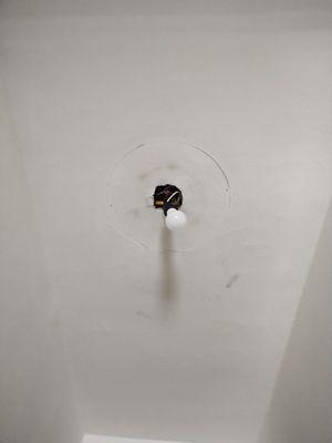 Scrappy's Magic Touch