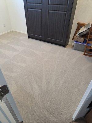 Encanto Carpet & Tile Cleaning