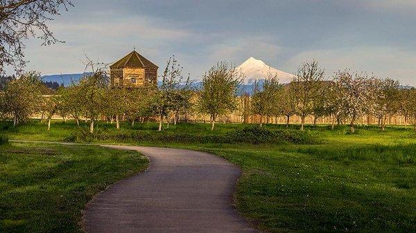 Courtesy of Alex Davila