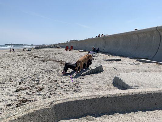 Chris Rogers - Berkshire Hathaway Home Services