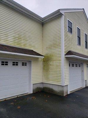 Advanced Cleaning and Sanitizing