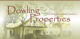 Dowling Properties