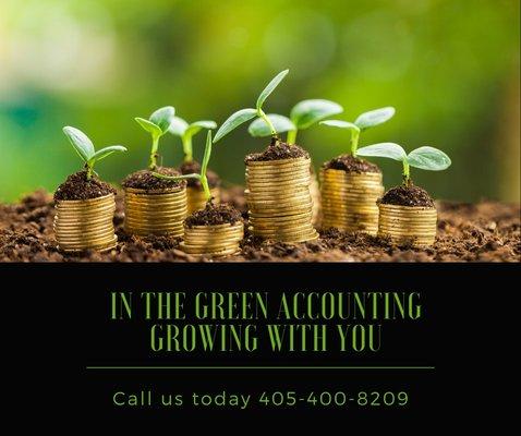 In The Green Accounting Solutions
