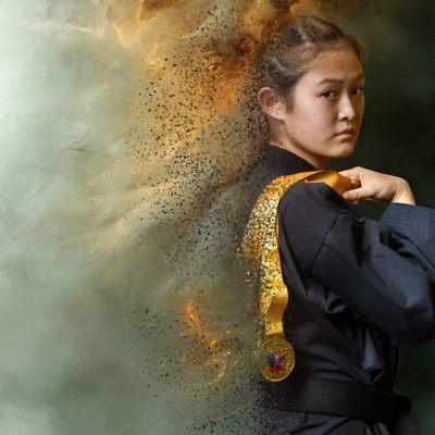 J. Tiger Martial Arts