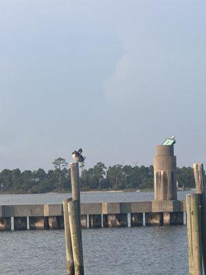 Southern Sports Fishing Chandeleur Islands