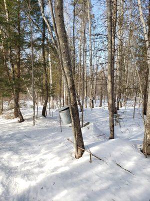 River Basin Farms, LLC