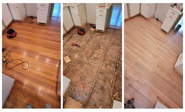 Holliday Painting & Services