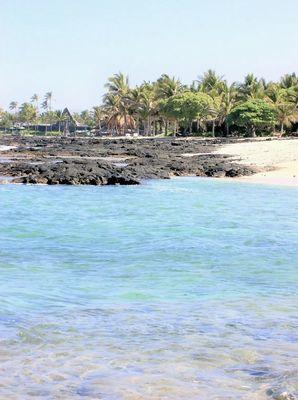 Some rocky footings at sea bottom, and some spiky urchins too.