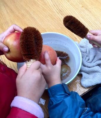Seedlings Playgarden