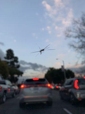 Pete Hendrick Windshield Repair