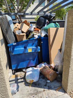 Over flowing trash bins throughout the complex