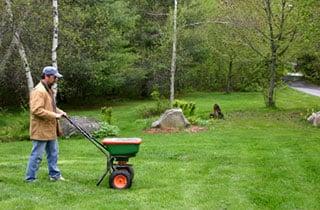 Pro Landscape Maintenance