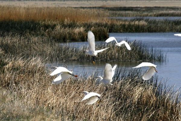 Relationship & Spirit Counseling