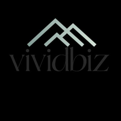 Vividbiz Digital Marketing