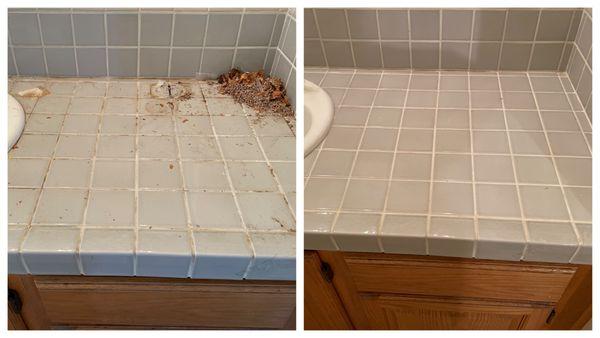 Neat Freaks Cleaning