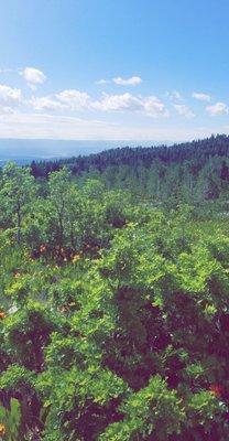 Blackhawk Campground