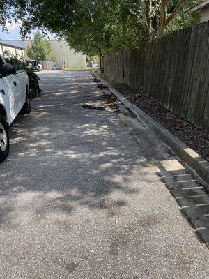 Nolan Lawn Care & Landscaping