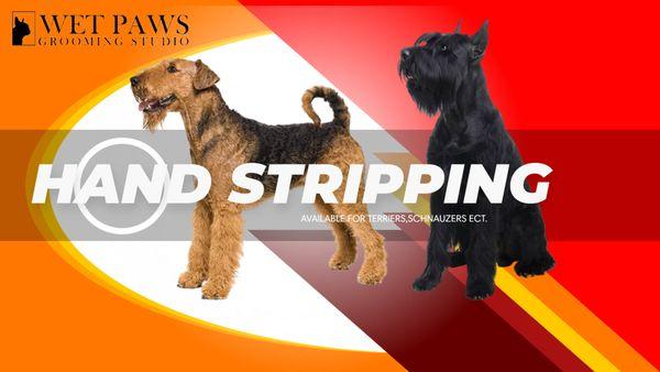 Wet Paws Grooming Studio