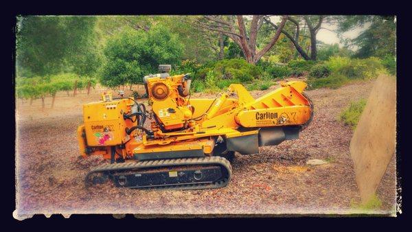 Ruiz & Daughters Landscape