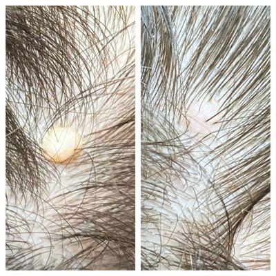 The Skin & Beautybar