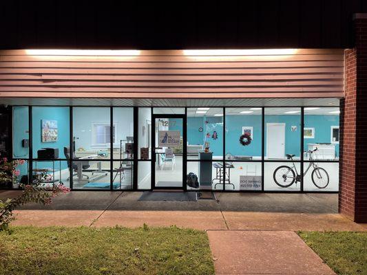 The Dog Wizard - Moore