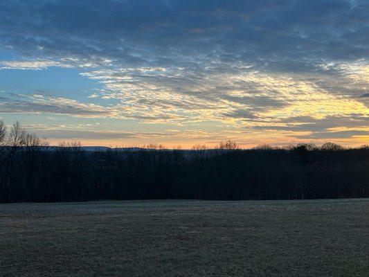 Desch Cleaning Services