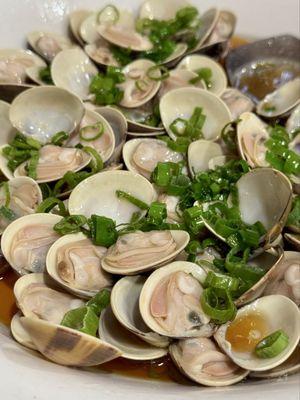 Triangle Clams 三角贝