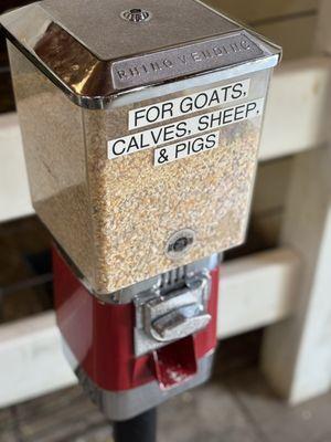 Bring quarters to feed the animals. 25 cents for a small hand full