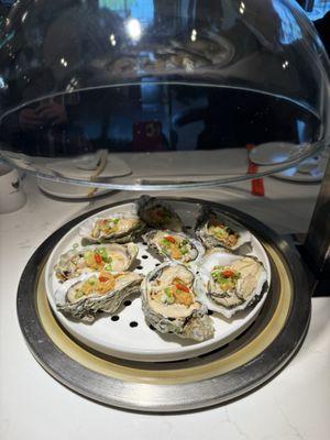 Steam oyster