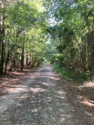 Newtowne Neck State Park