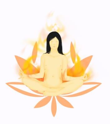 Fire in the Lotus logo